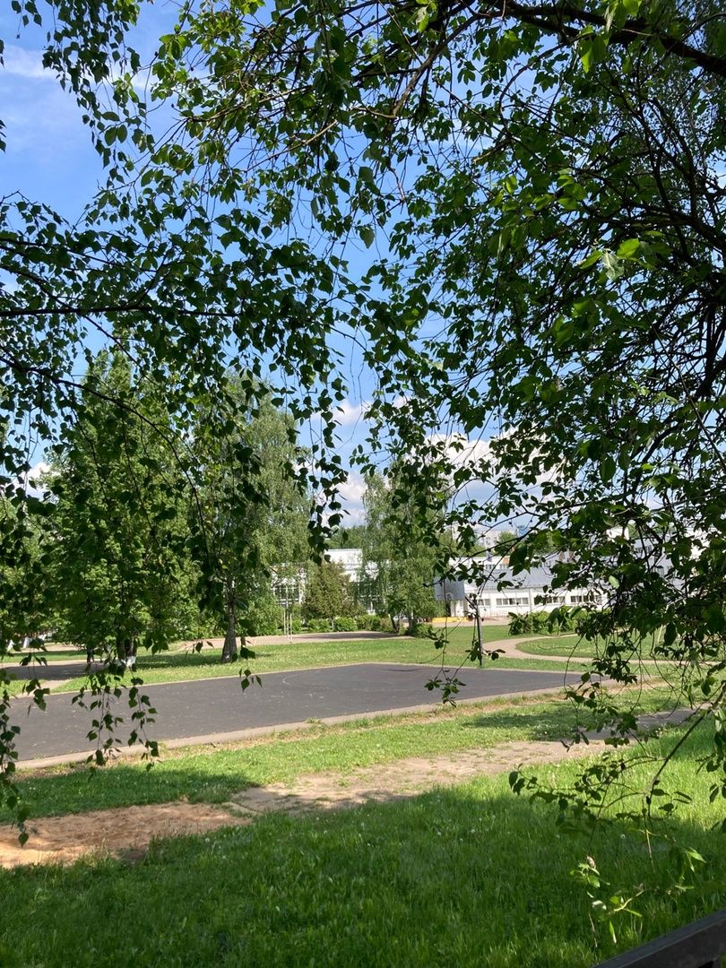 Солнечногорск, образование, ЕГЭ, литература, выпускники