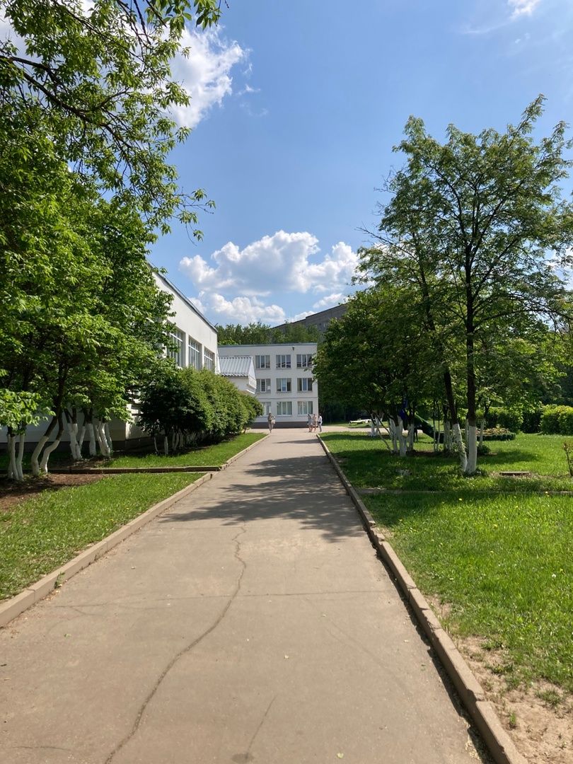 Солнечногорск, образование, ЕГЭ, литература, выпускники