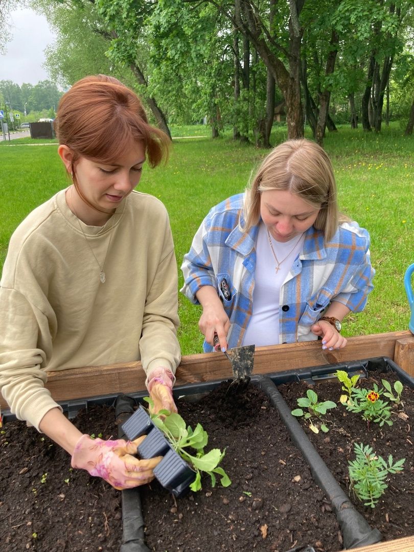 Солнечногорск, парк, общественный огород, садоводы, акция