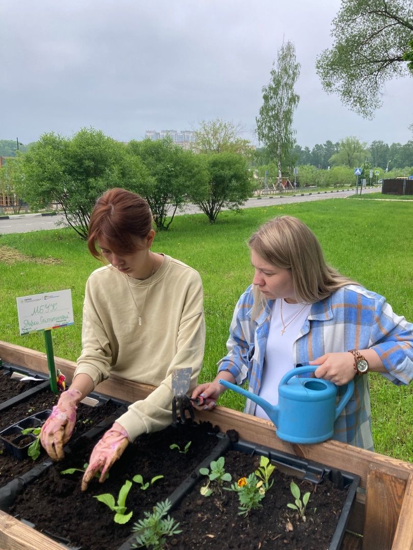 Солнечногорск, парк, общественный огород, садоводы, акция