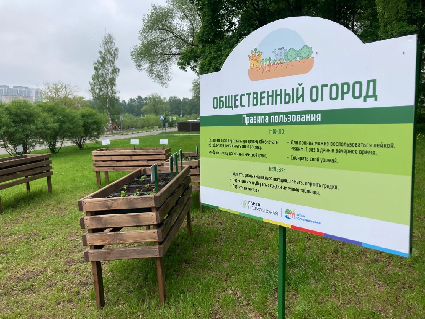 Солнечногорск, парк, общественный огород, садоводы, акция