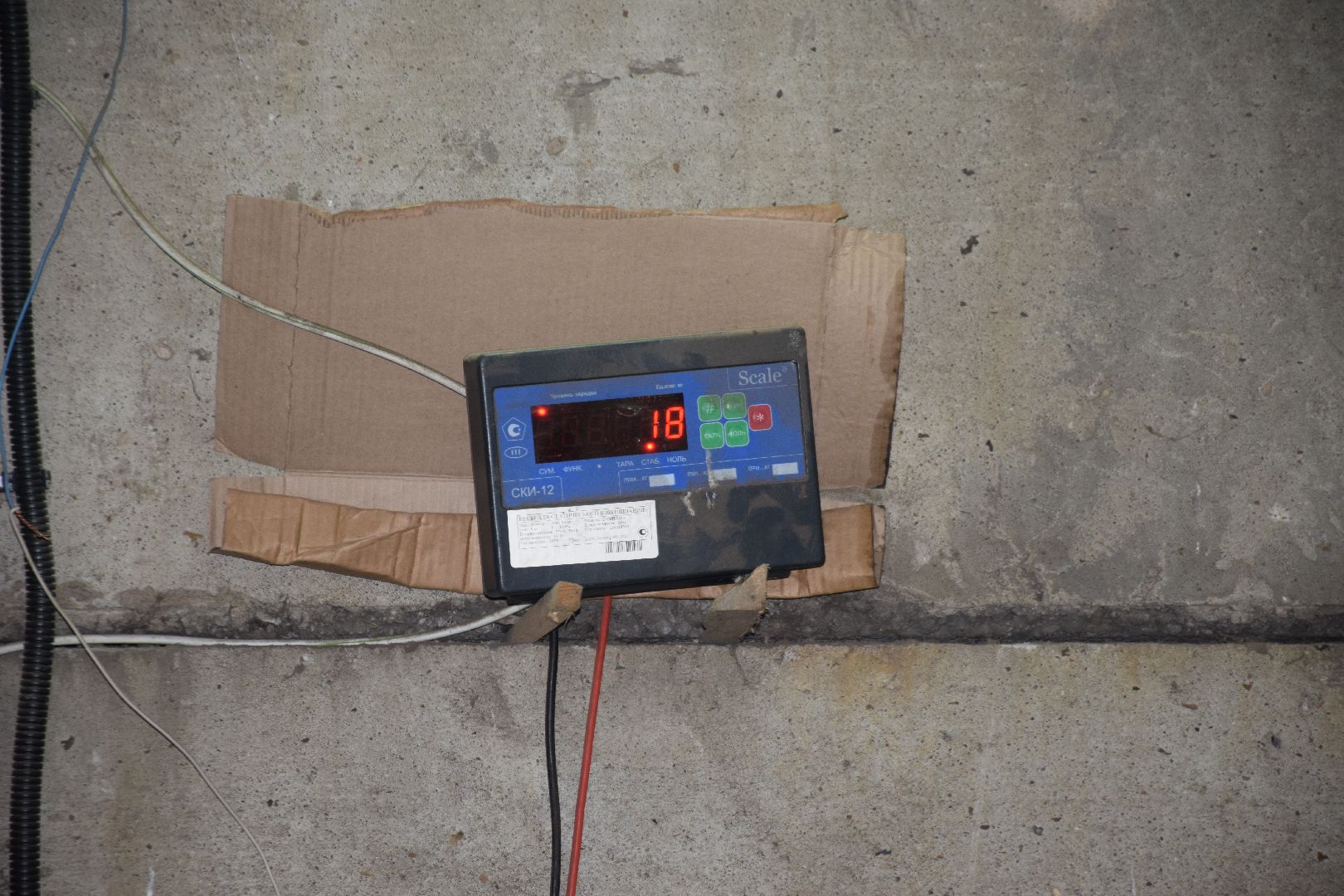 Павловский Посад, городской округ Павловский Посад, макулатура, экология, акция