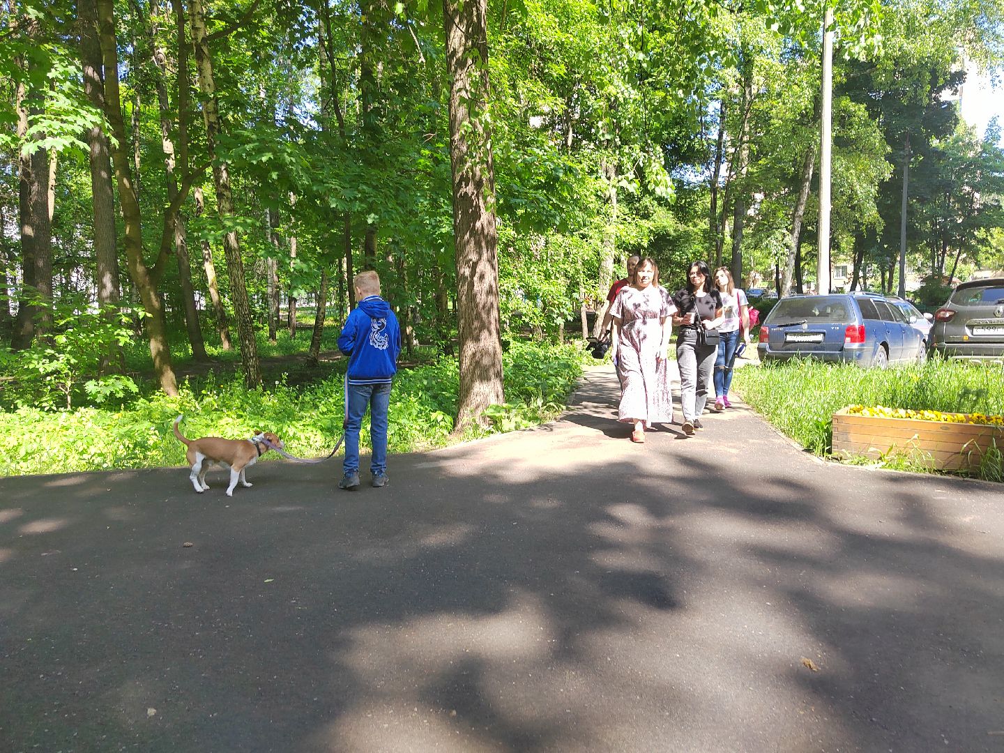 Пушкино, ЖКХ, МКД, Пушкинский округ, день соседа