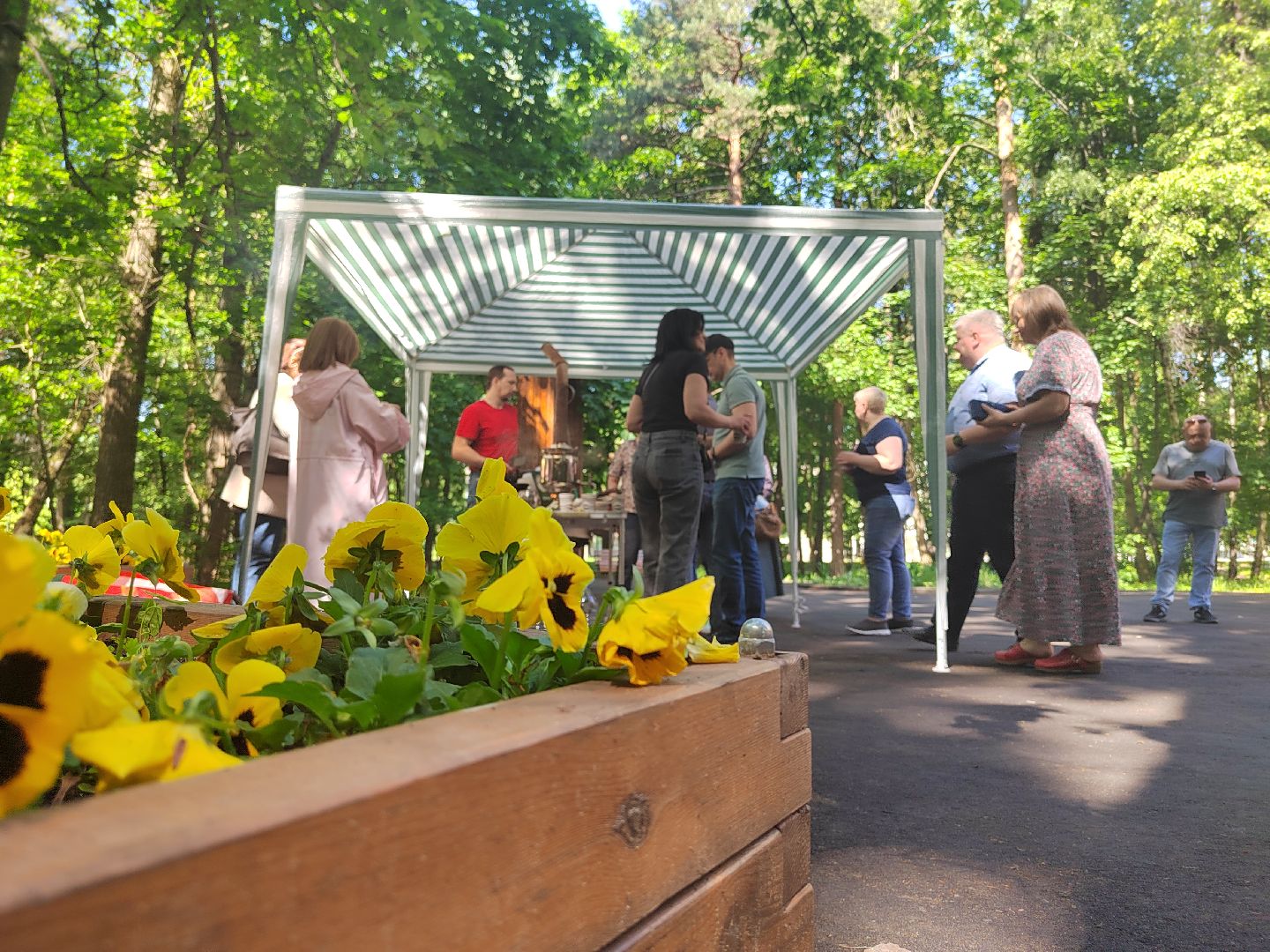 Пушкино, ЖКХ, МКД, Пушкинский округ, день соседа