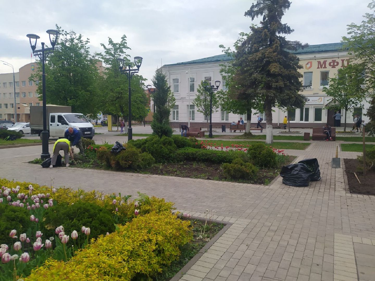 Истра, цветы, клумбы, ДОДХИБИМР