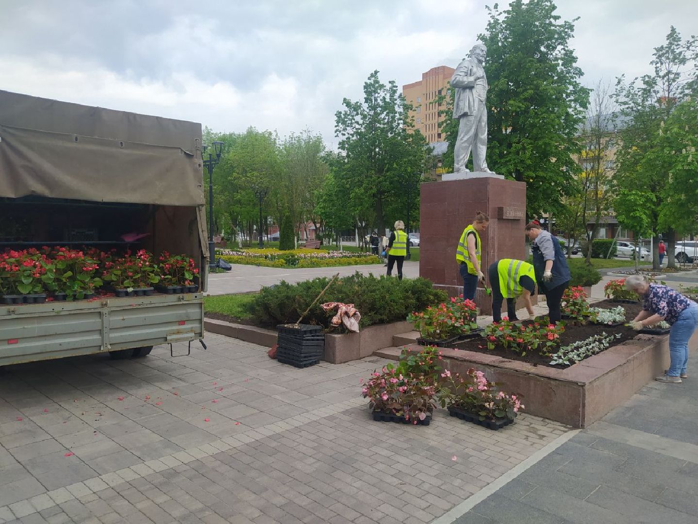 Истра, цветы, клумбы, ДОДХИБИМР