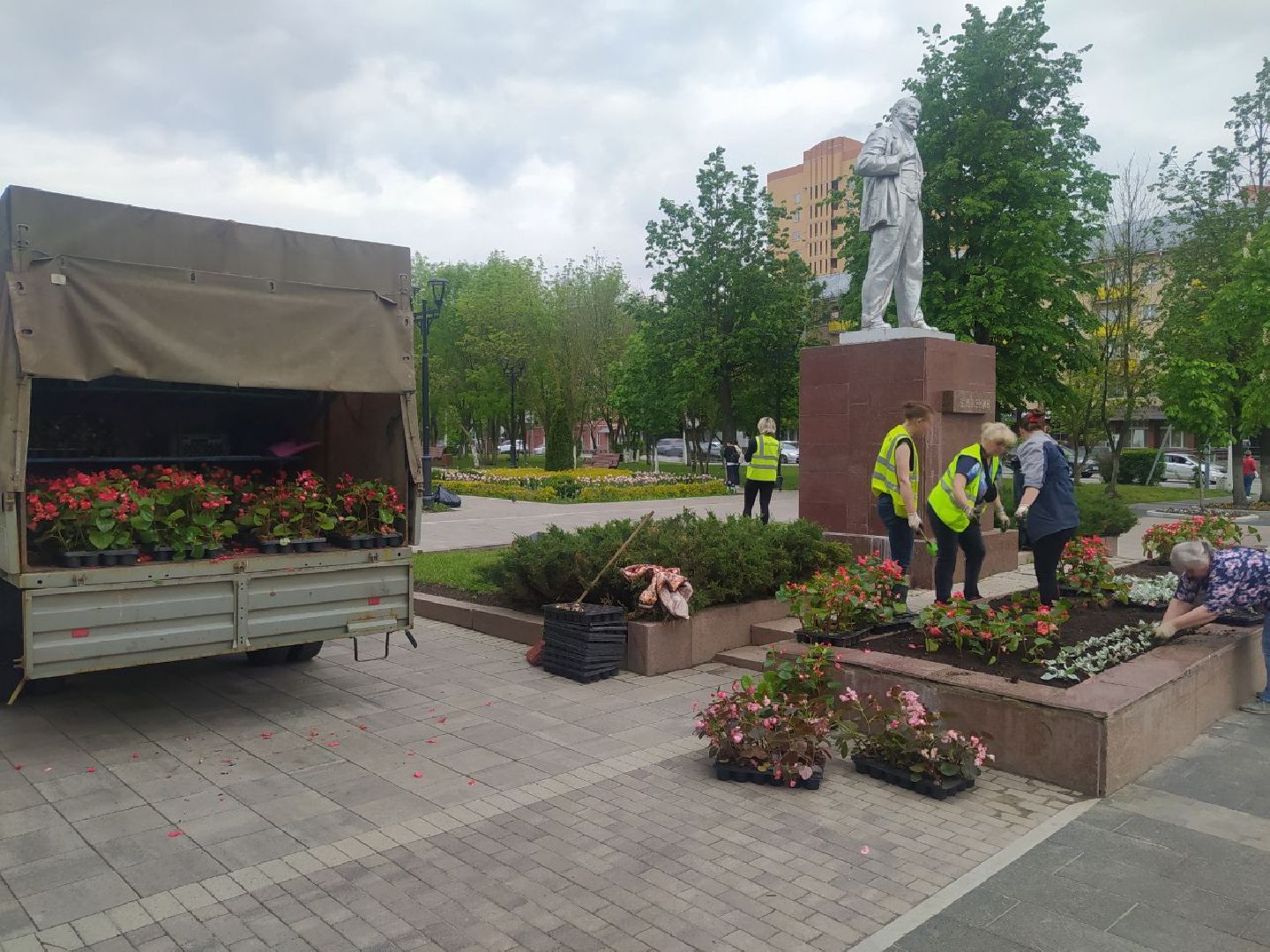 Истра, цветы, клумбы, ДОДХИБИМР