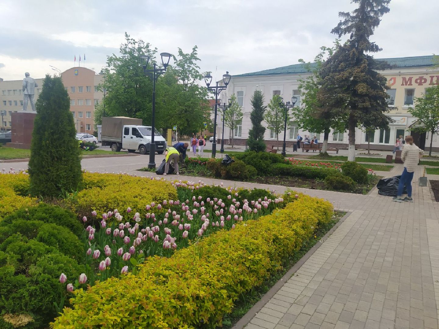 Истра, цветы, клумбы, ДОДХИБИМР