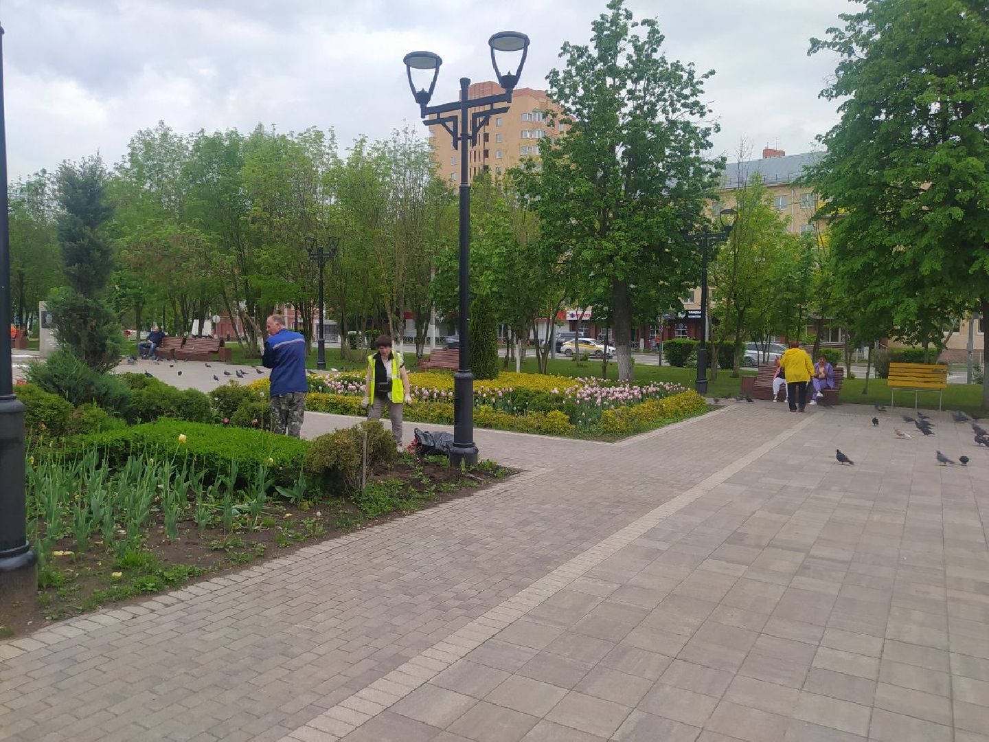 Истра, цветы, клумбы, ДОДХИБИМР