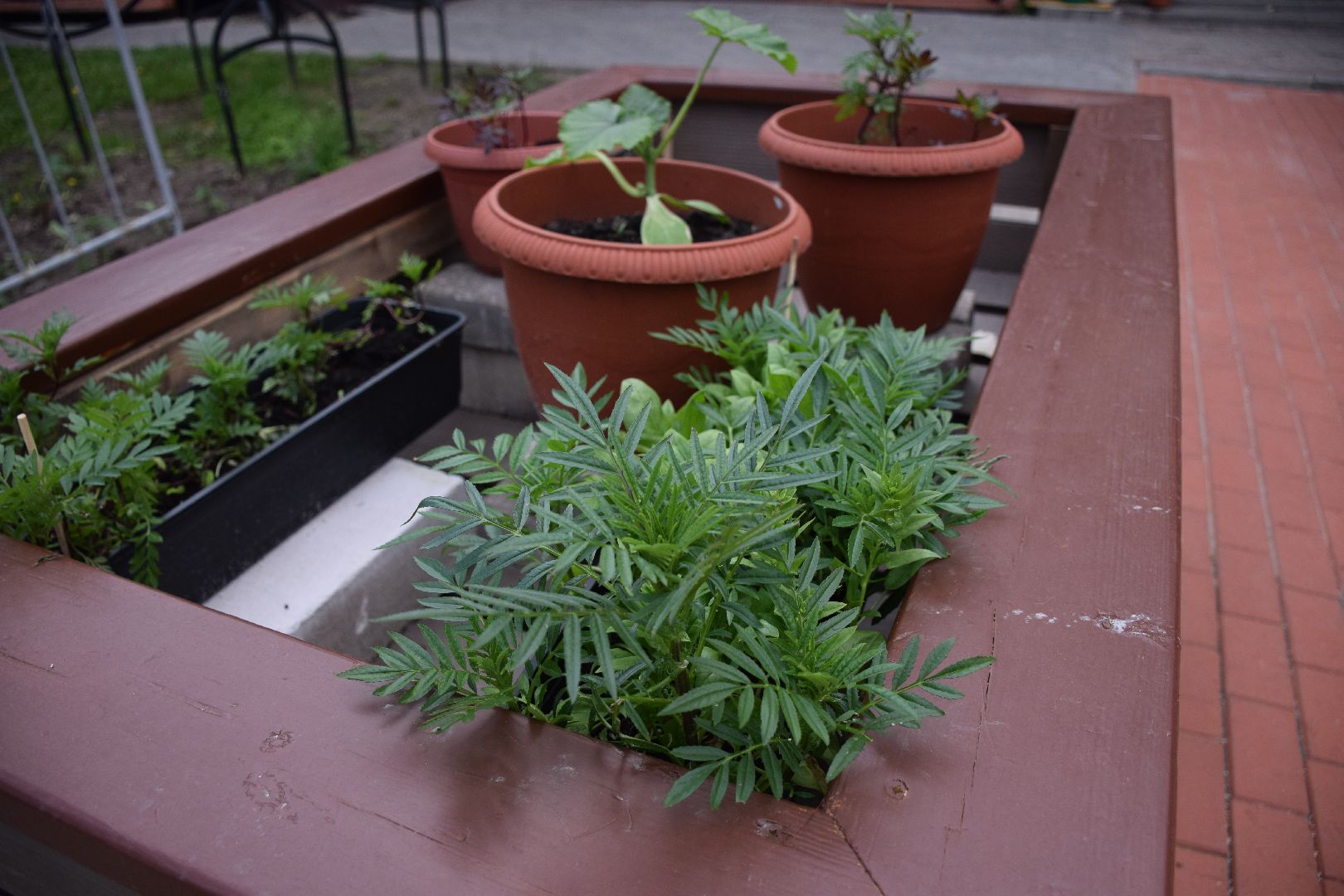 Павловский Посад, городской округ Павловский Посад, огород, парк, экология