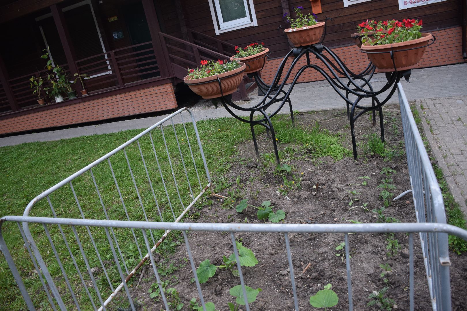 Павловский Посад, городской округ Павловский Посад, огород, парк, экология