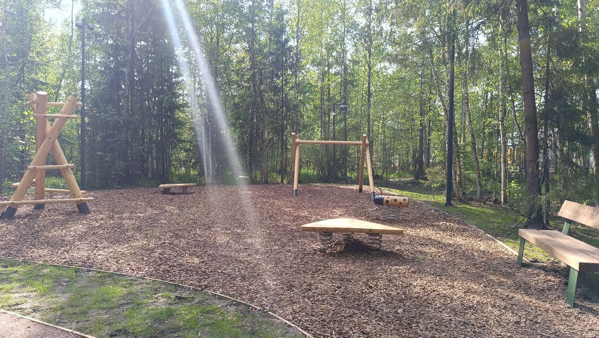 Лобня, благоустройство, лесопарк