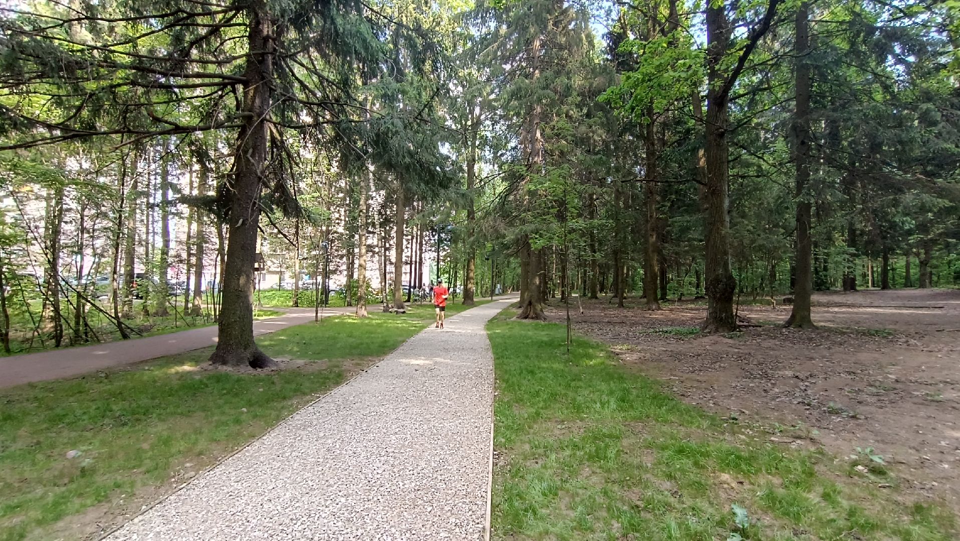 Лобня, благоустройство, лесопарк