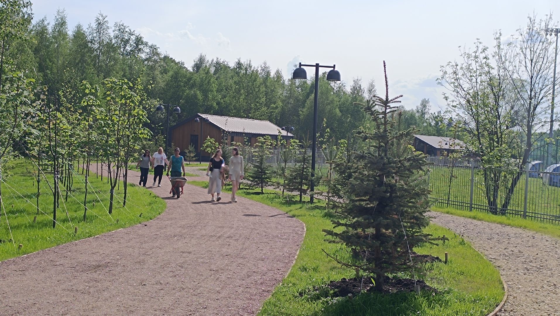 Лобня, благоустройство, лесопарк