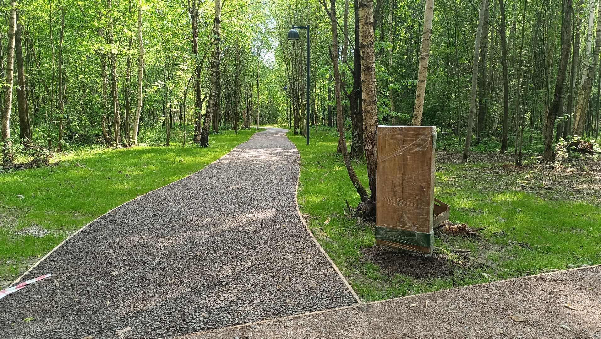 Лобня, благоустройство, лесопарк