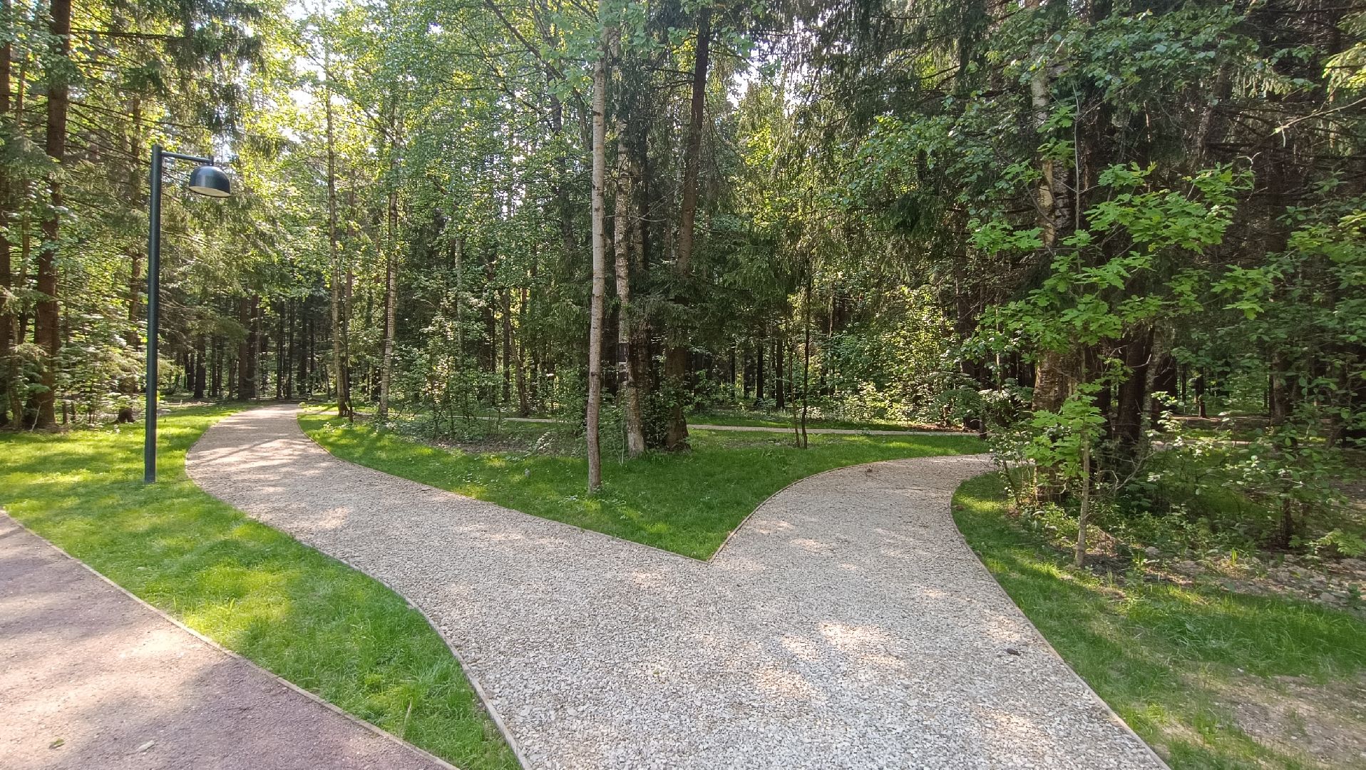 Лобня, благоустройство, лесопарк