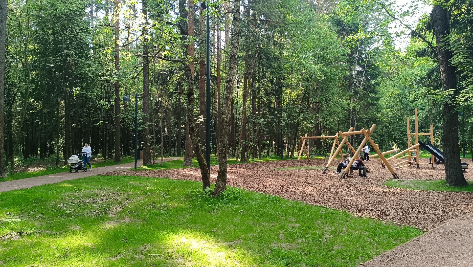 Лобня, благоустройство, лесопарк