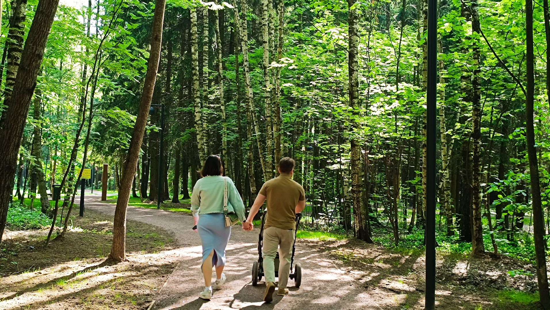 Лобня, благоустройство, лесопарк