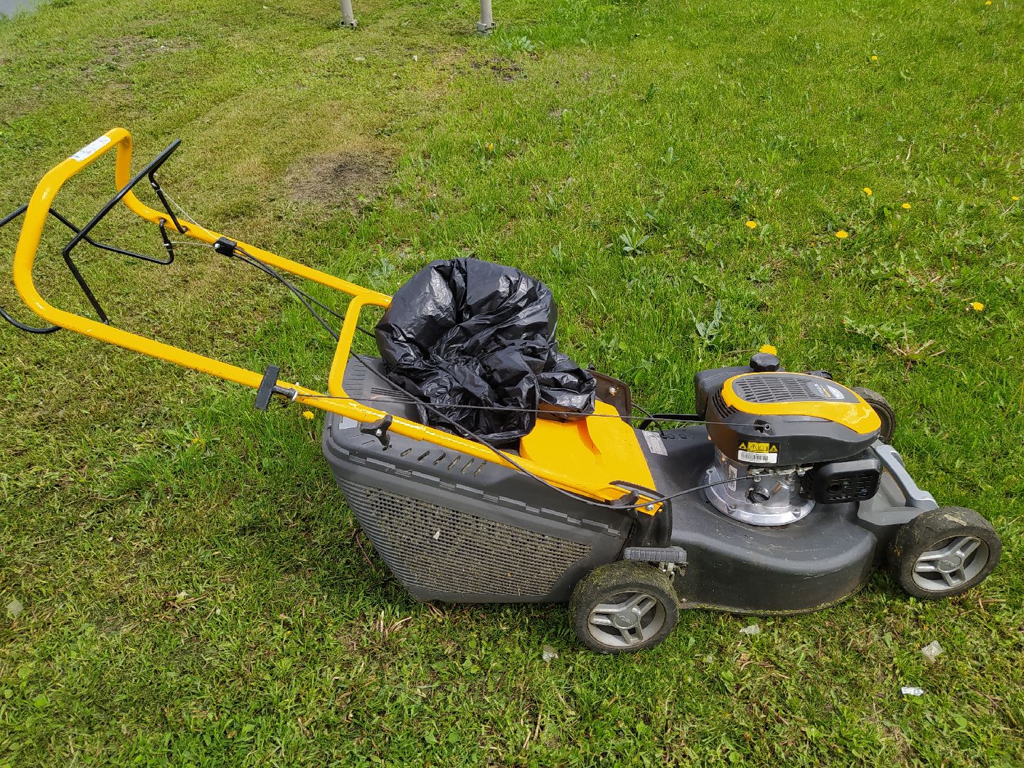 Газон, благоустройство, улица