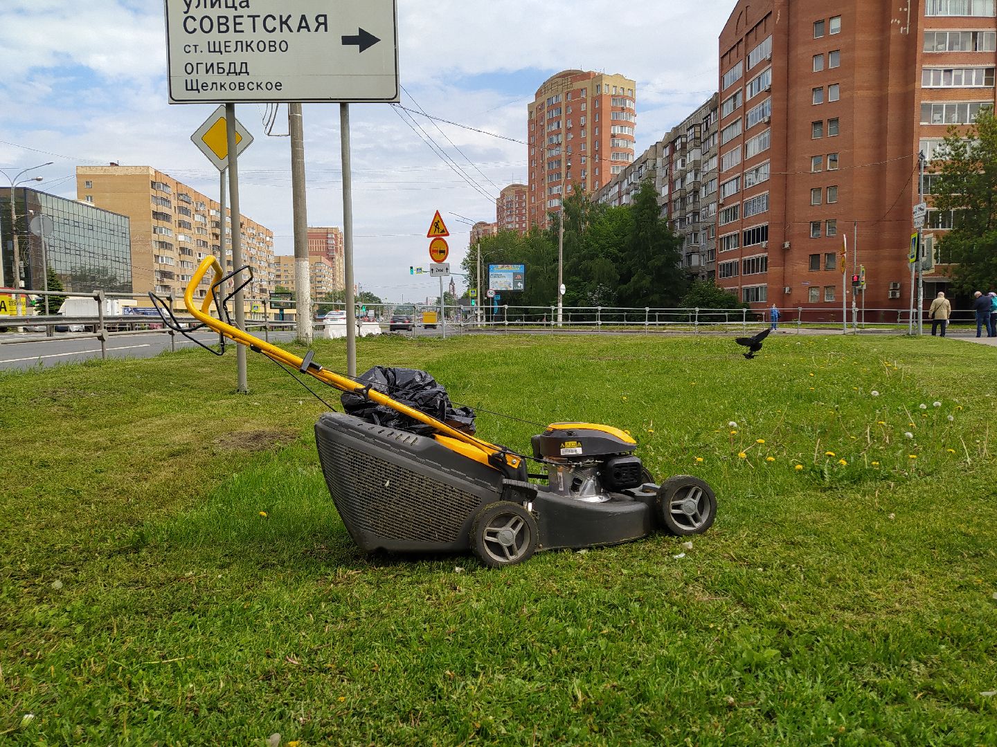 Газон, благоустройство, улица