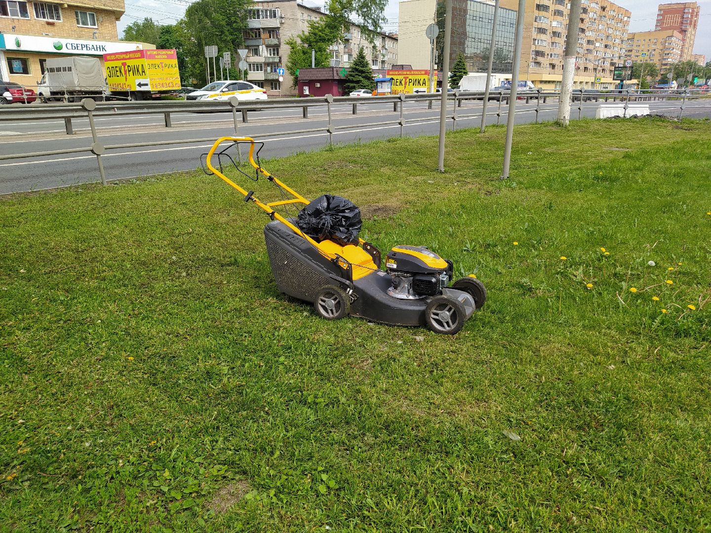 Газон, благоустройство, улица