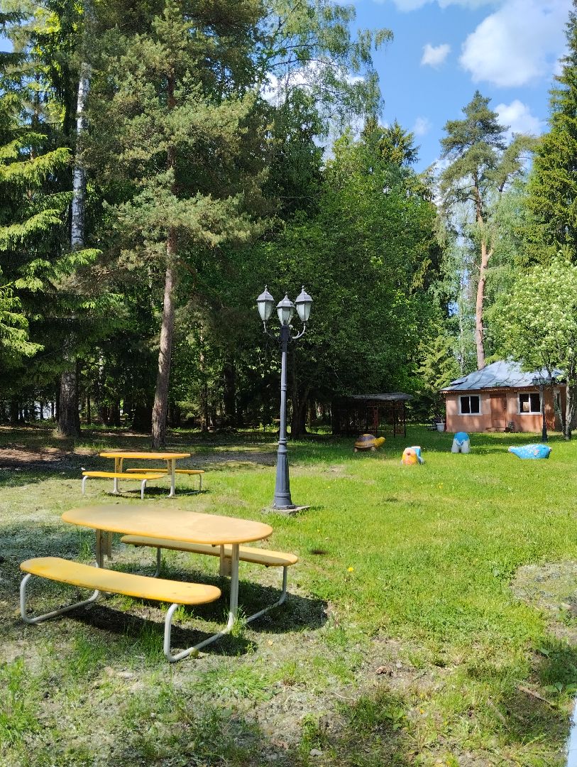 Детский оздоровительный лагерь, лагерь, дети, Ногинск, Богородский городской округ