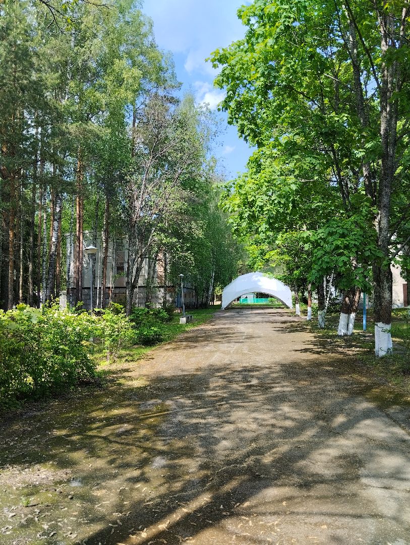 Детский оздоровительный лагерь, лагерь, дети, Ногинск, Богородский городской округ