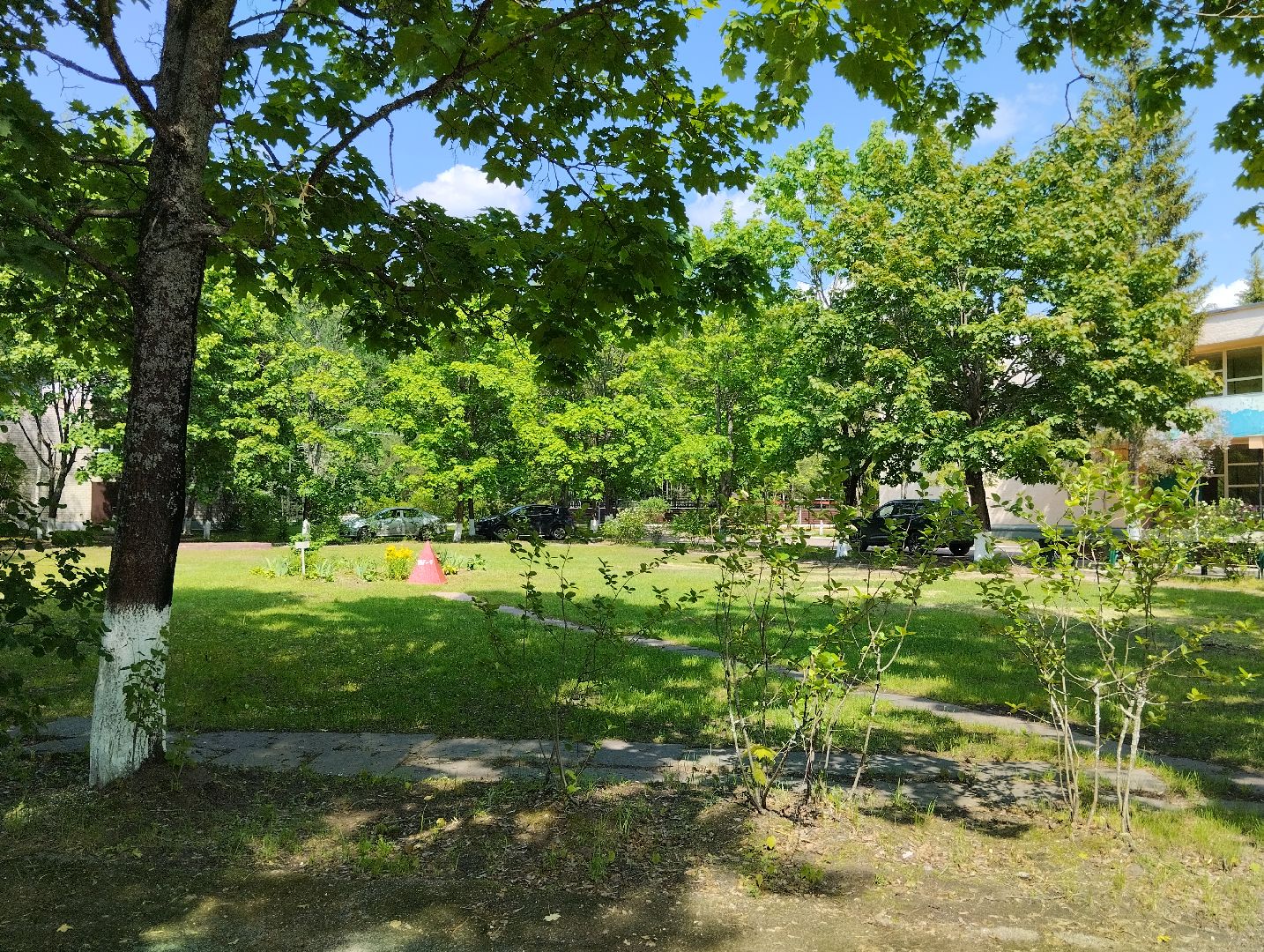 Детский оздоровительный лагерь, лагерь, дети, Ногинск, Богородский городской округ