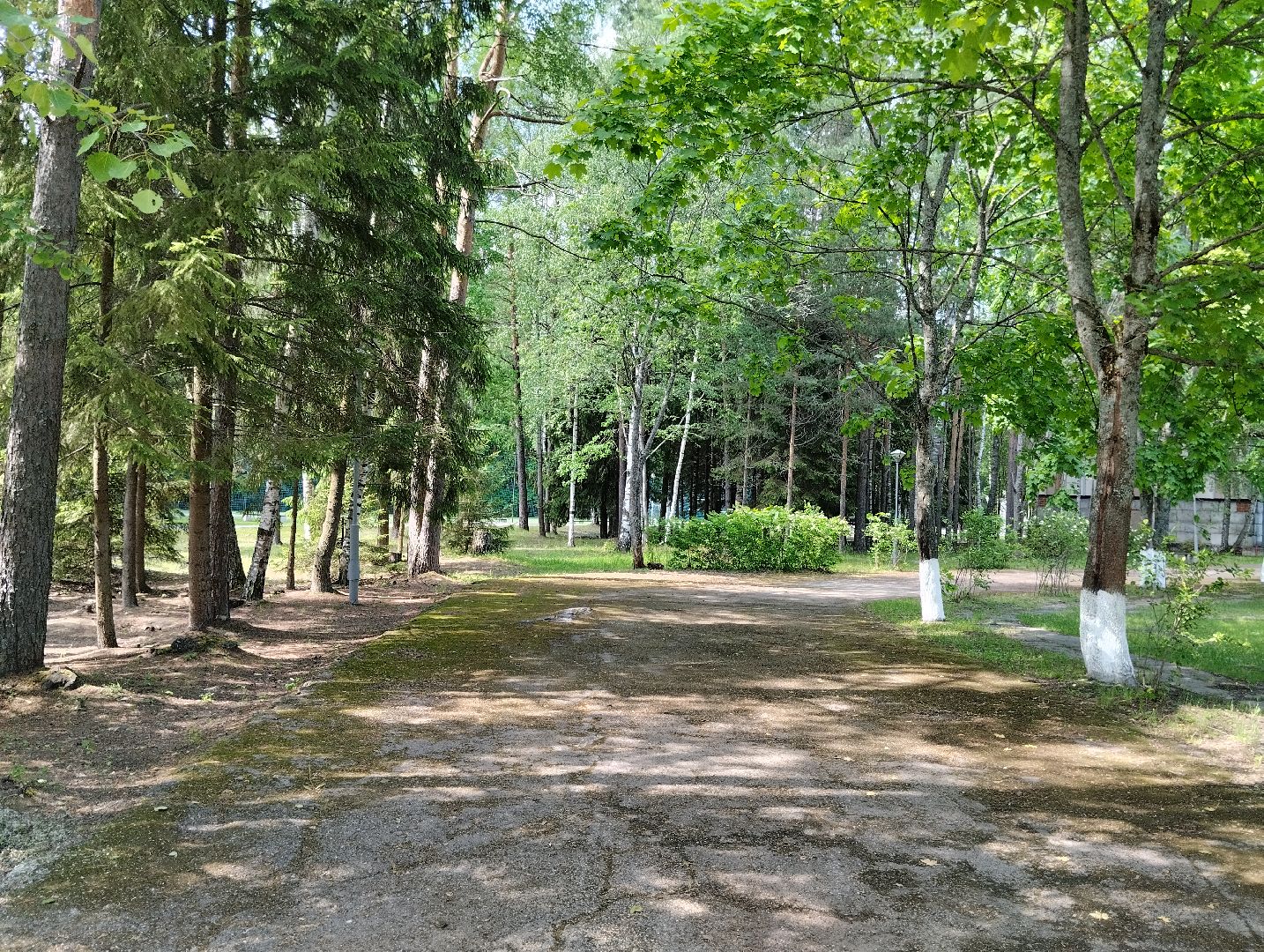 Детский оздоровительный лагерь, лагерь, дети, Ногинск, Богородский городской округ