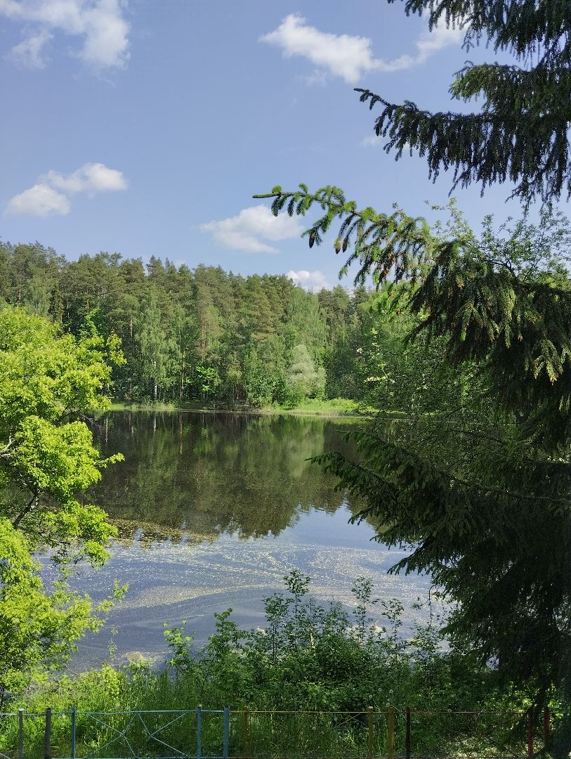 Детский оздоровительный лагерь, лагерь, дети, Ногинск, Богородский городской округ
