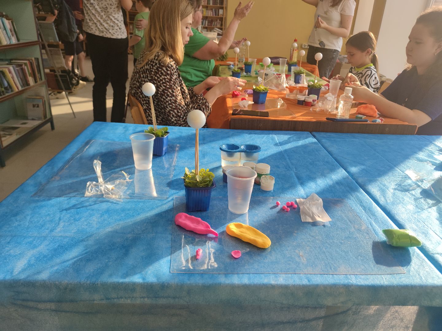 Библионочь, Библиотека семейного чтения, Дубна