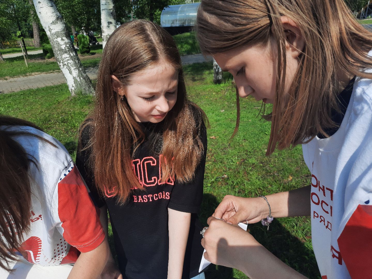 Шатура, Нетипичный парк, народные гуляние, парк, отдых