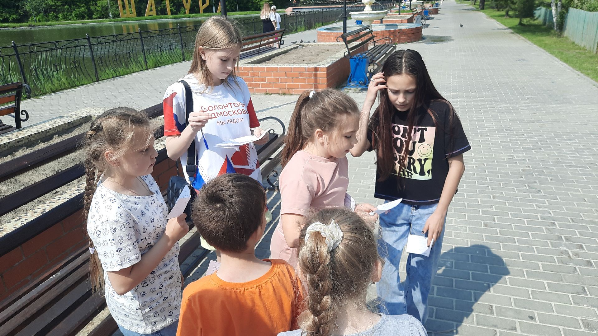 Шатура, Нетипичный парк, народные гуляние, парк, отдых