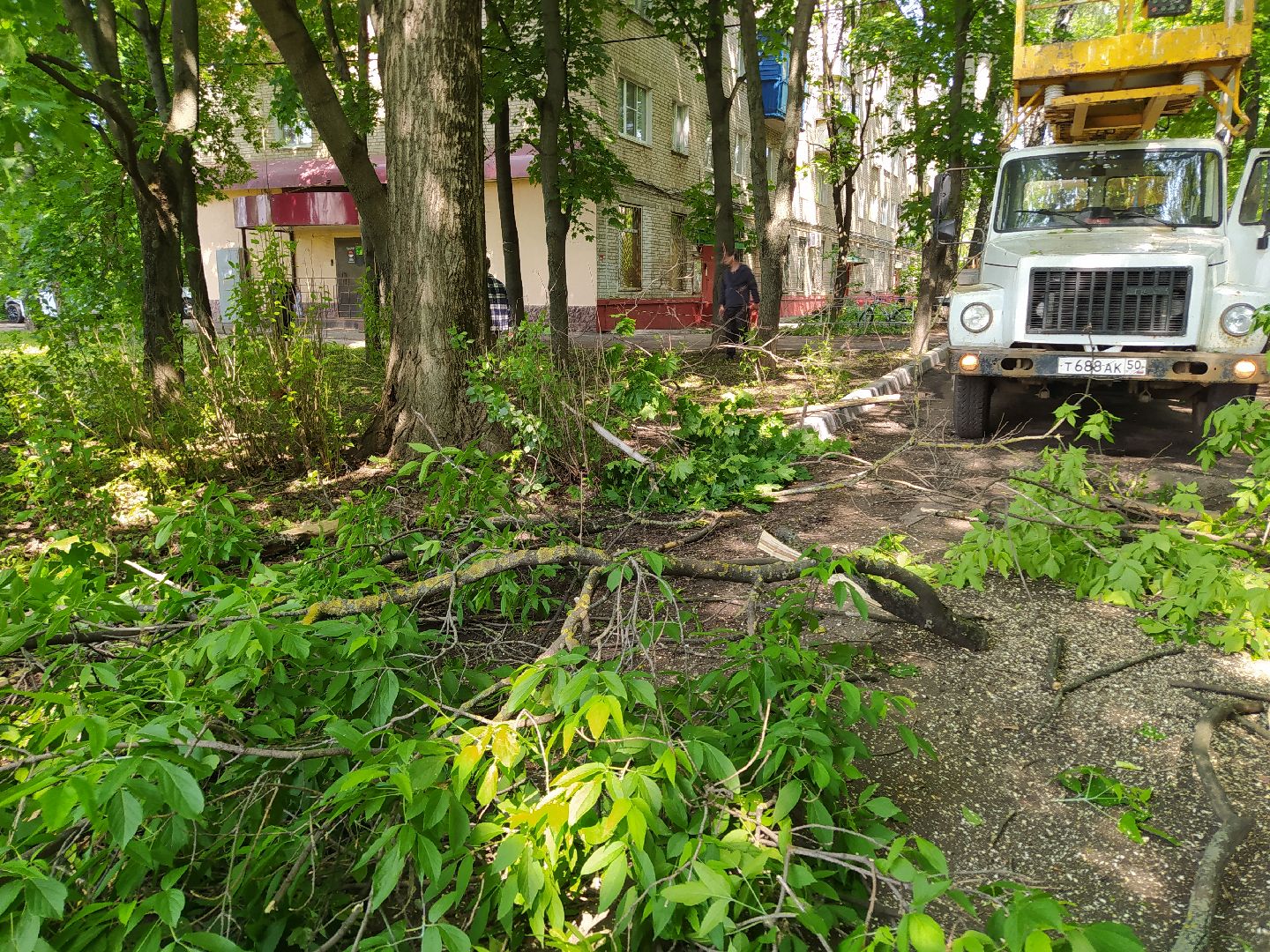 Обрезка, обработка, деревья, благоустройство