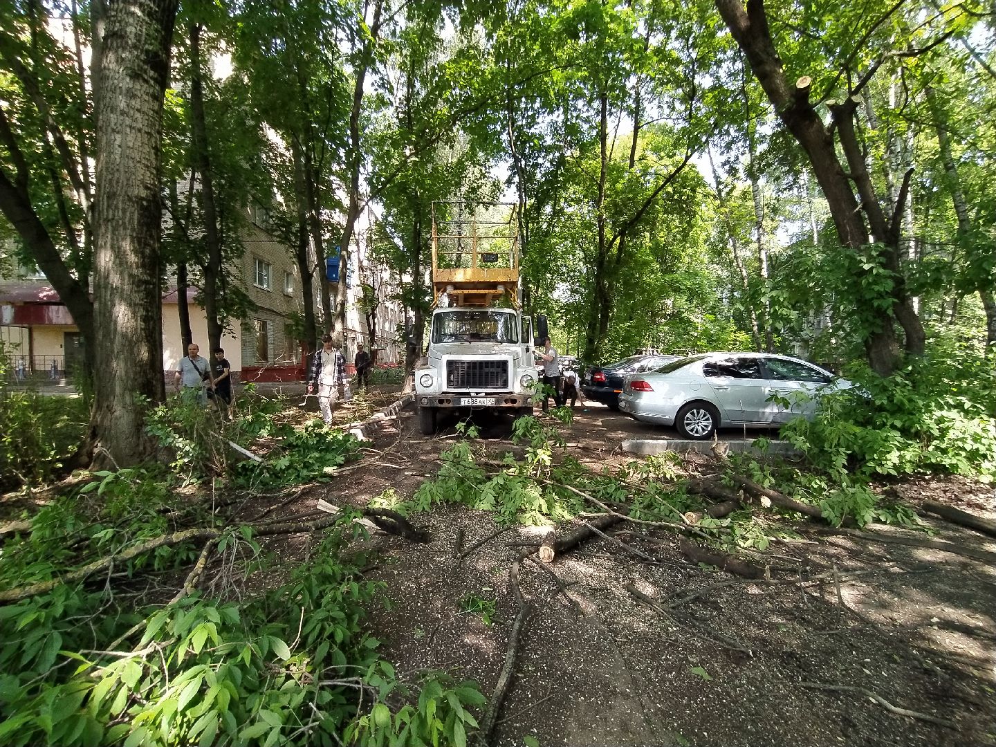Обрезка, обработка, деревья, благоустройство