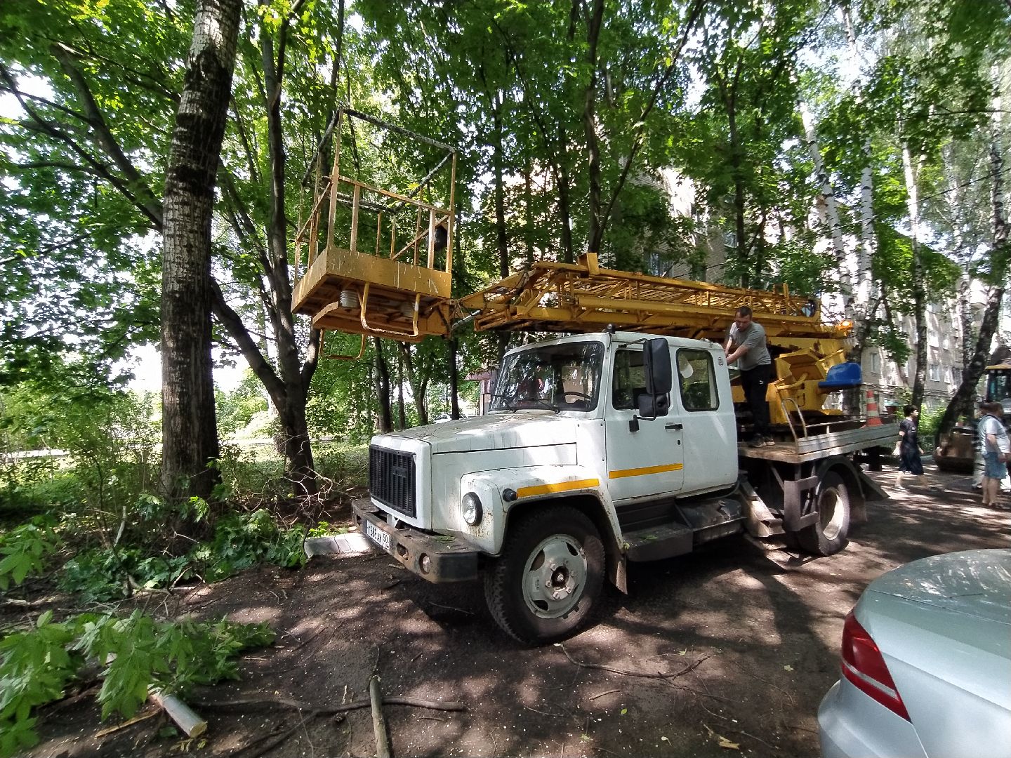 Обрезка, обработка, деревья, благоустройство