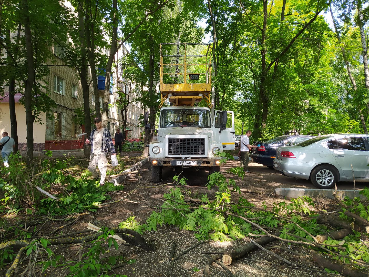 Обрезка, обработка, деревья, благоустройство