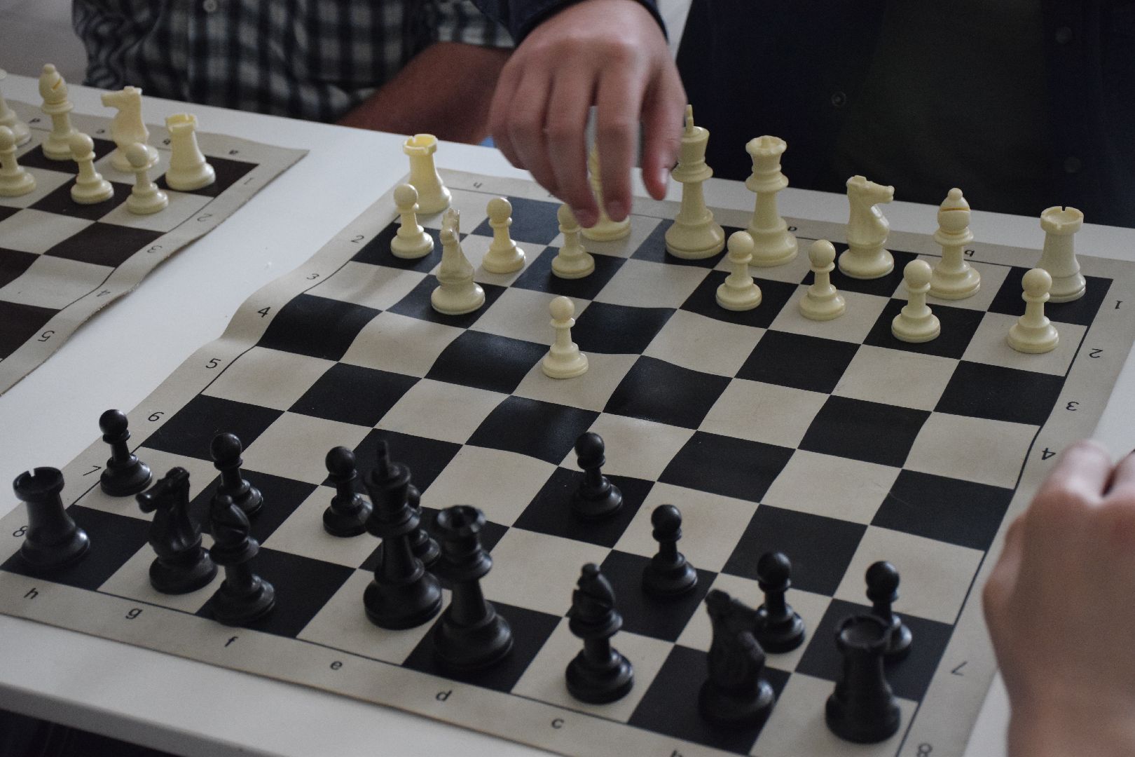 Павловский Посад, городской округ Павловский Посад, шахматы, турнир, спорт