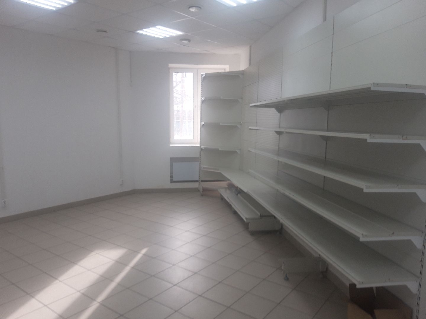 Пушкино, бизнес