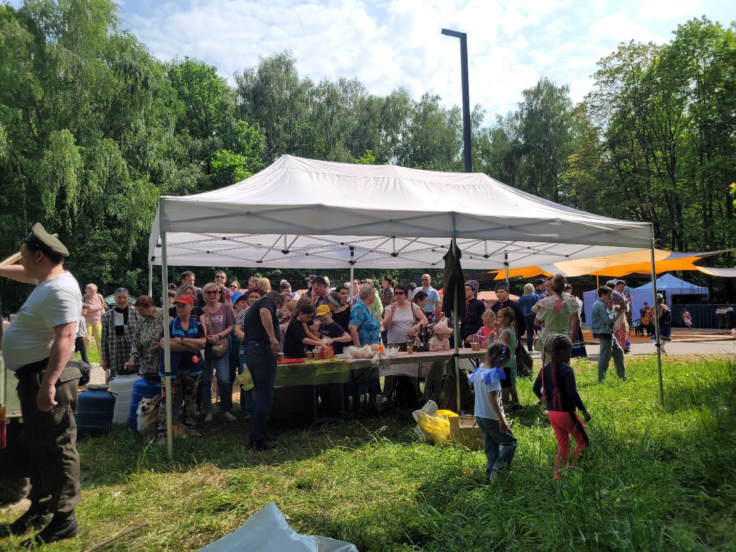 полевая каша; апаринки; фестиваль; видное