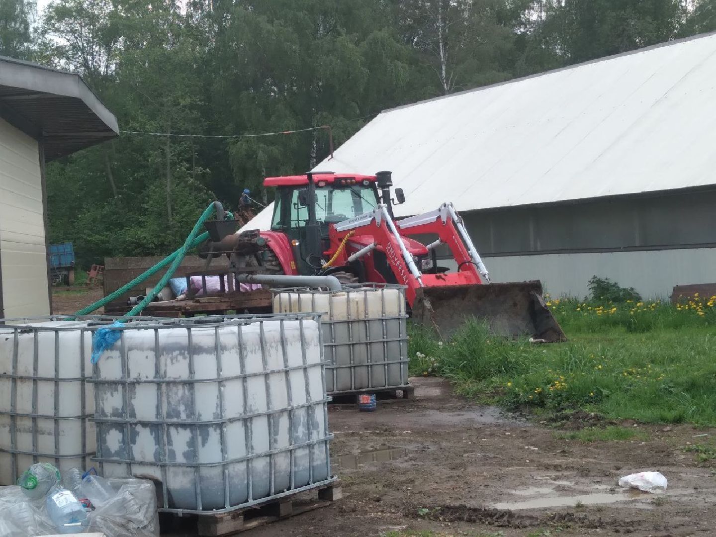 Звенигород, эко-ферма в Ершово, натуральная продукция, сельское хозяйство, животноводство, здоровое питание, фермерское хозяйство