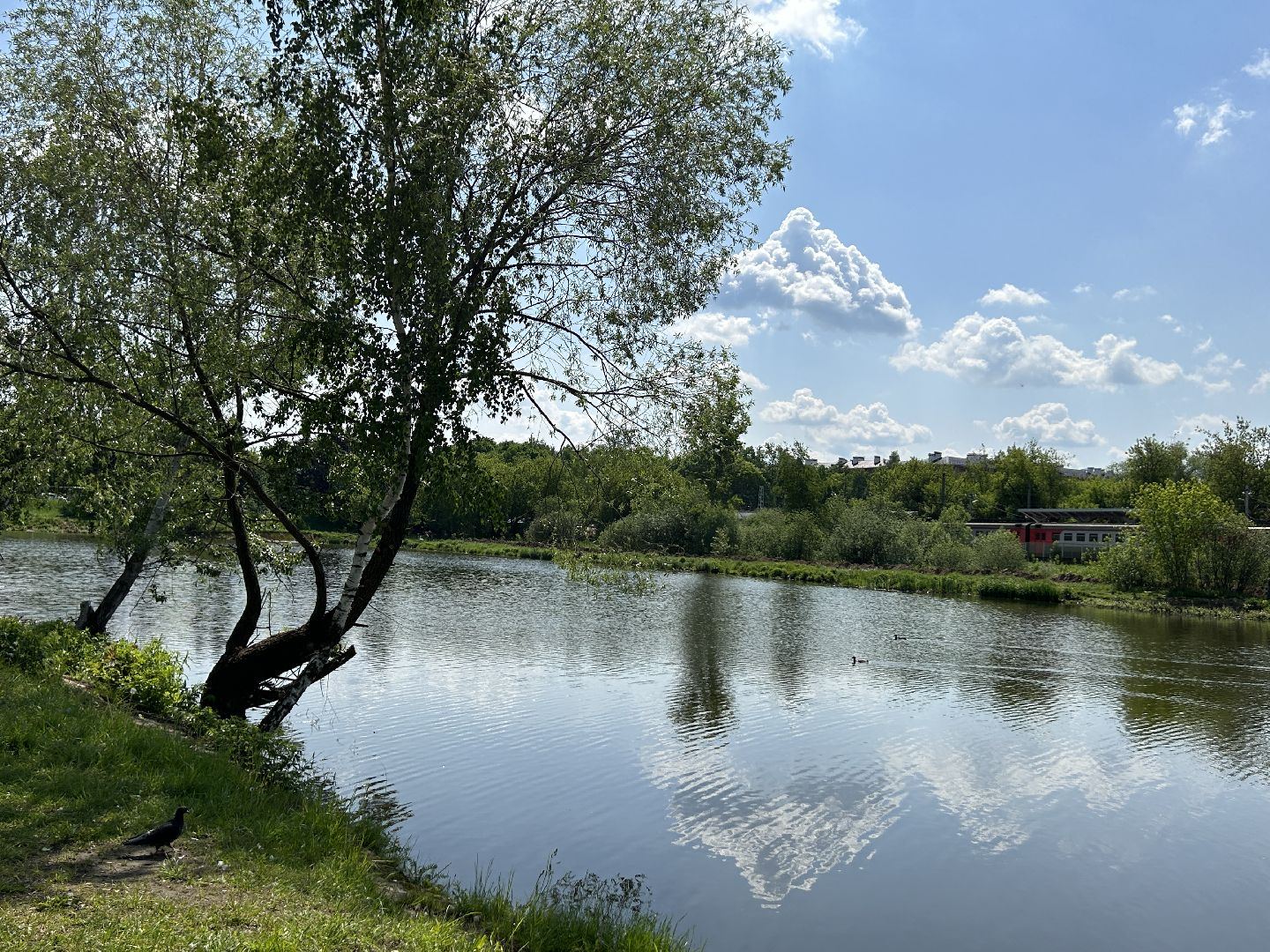 Вода России, 100 прудов и озёр, Фрязино