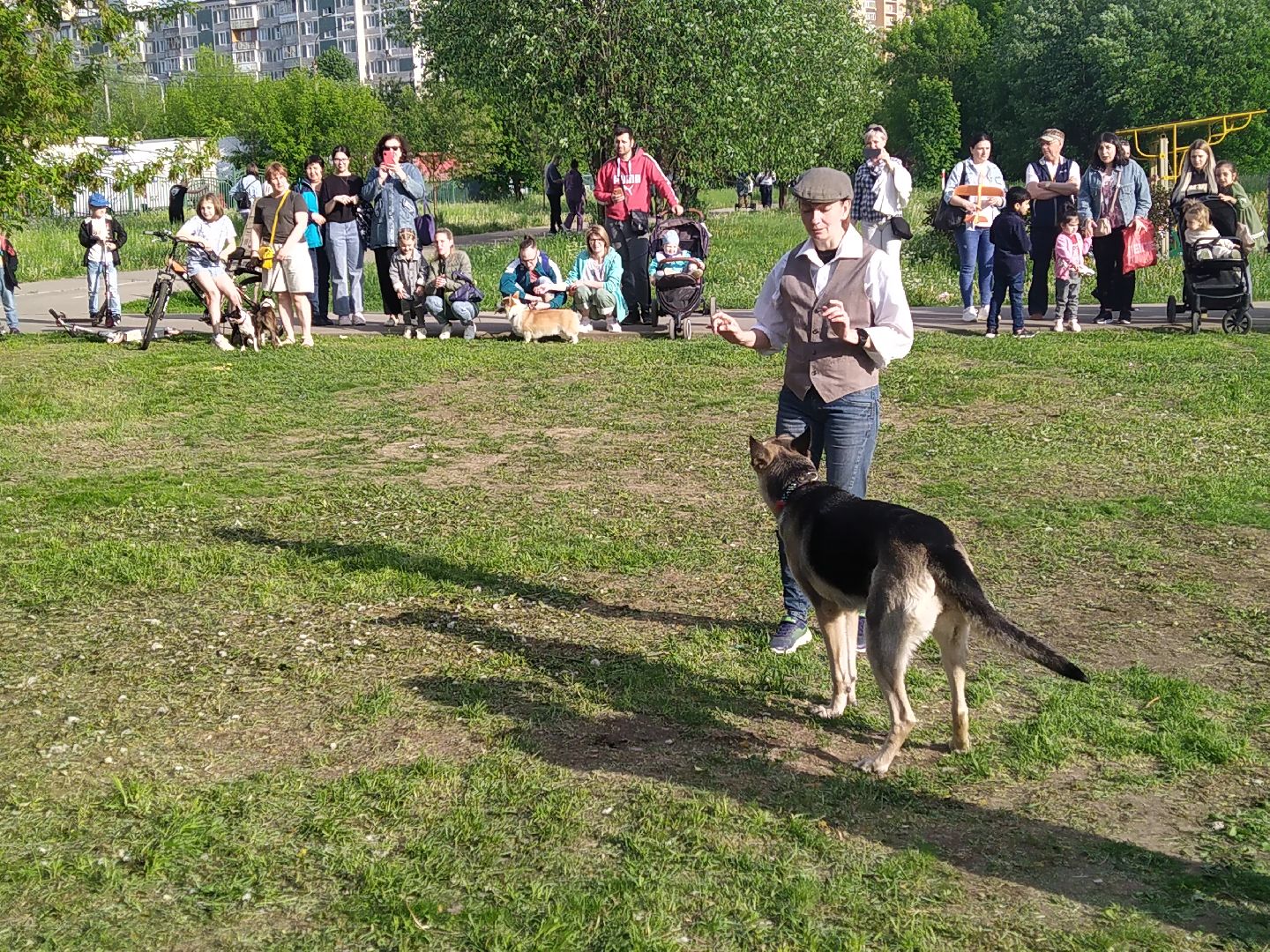 Долгопрудный, кинологи, дрессура, собаки, экофестиваль, благотворительность, танцы