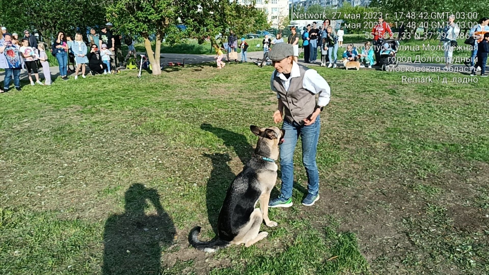 Долгопрудный, кинологи, дрессура, собаки, экофестиваль, благотворительность, танцы