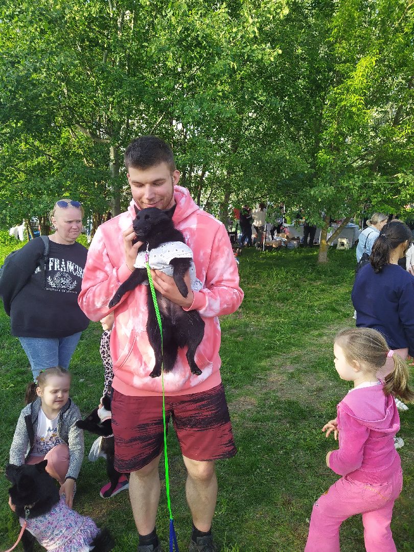 Долгопрудный, кинологи, дрессура, собаки, экофестиваль, благотворительность, танцы