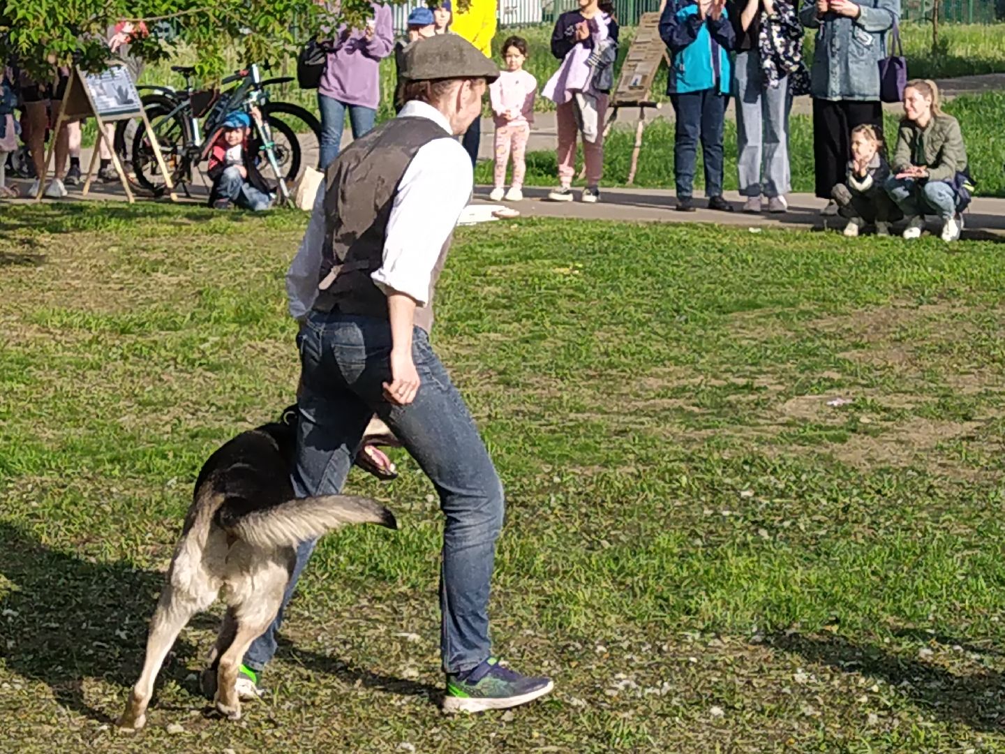 Долгопрудный, кинологи, дрессура, собаки, экофестиваль, благотворительность, танцы