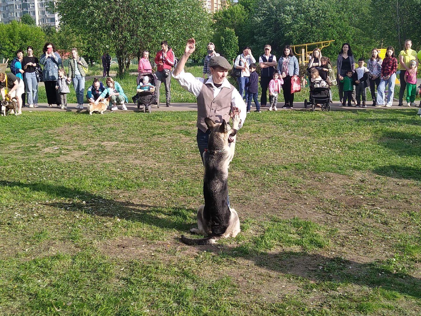 Долгопрудный, кинологи, дрессура, собаки, экофестиваль, благотворительность, танцы