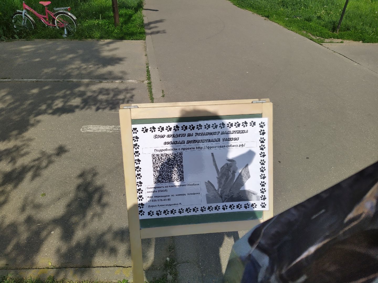 Долгопрудный, кинологи, дрессура, собаки, экофестиваль, благотворительность, танцы