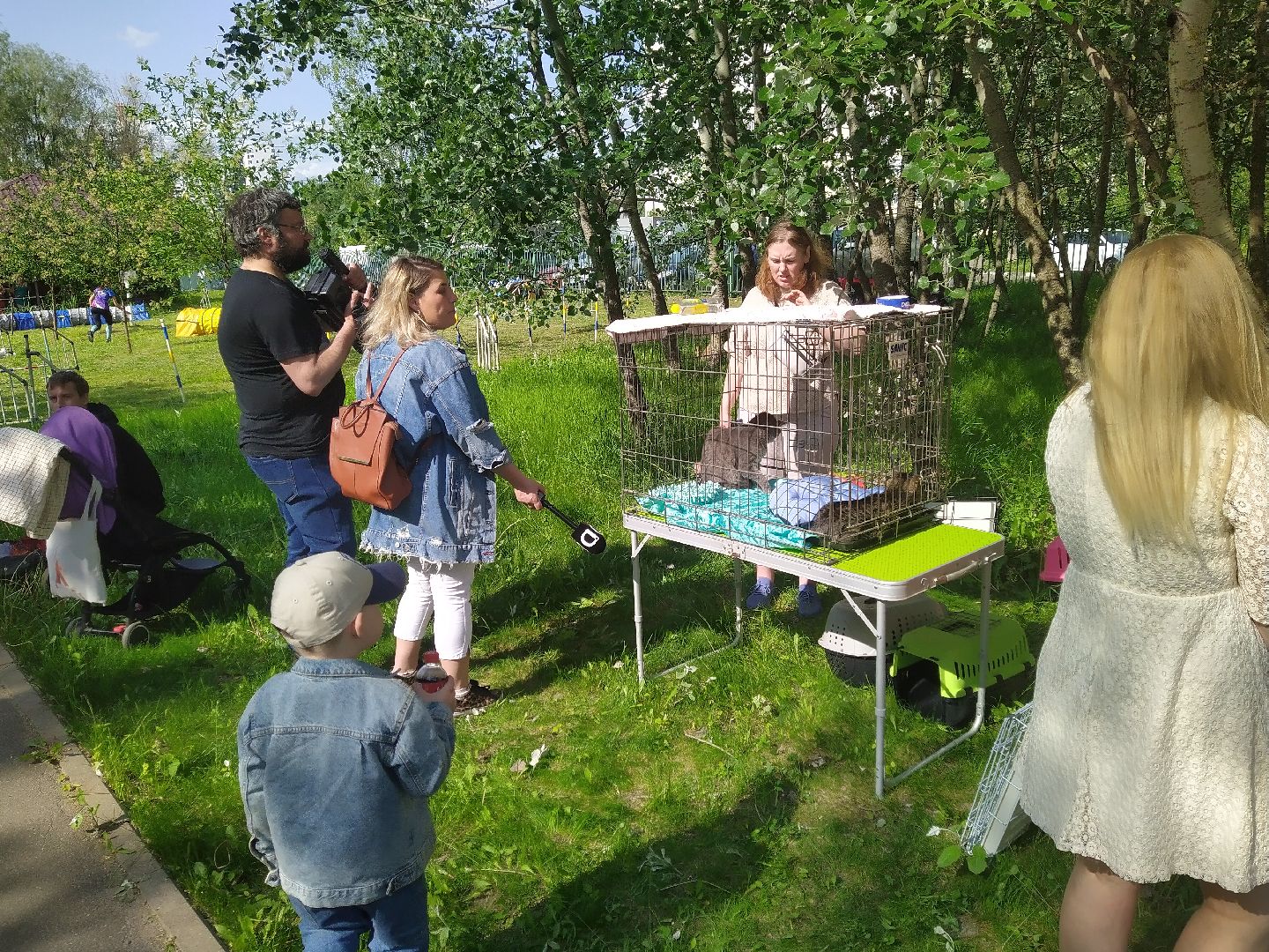 Долгопрудный, экология, макулатура, приюты, кинологи, парки