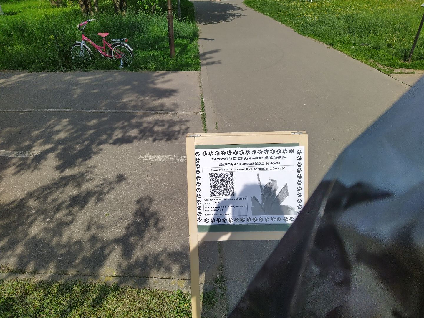 Долгопрудный, экология, макулатура, приюты, кинологи, парки